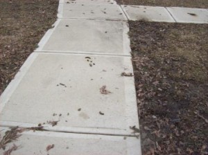 Goose Droppings (2)