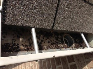 Bat Removal Villa Hills, KY - Bat Guano on Villa Hills, KY Home - Tri-State Wildlife Management