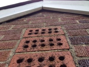 Bat Removal Ft. Wright, KY - Bat Entrypoint on Home in Ft. Wright, KY